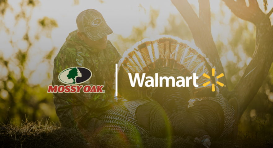 walmart banner